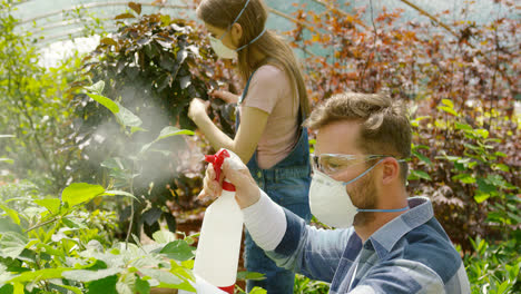 Male-and-female-professional-gardeners-spraying-fertilizer-on-plants
