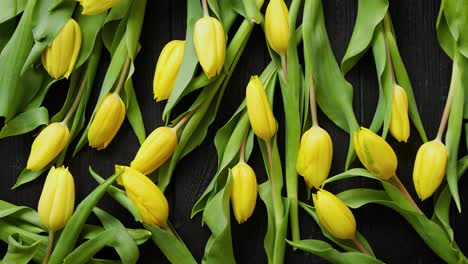 Yellow-tulips-placed-on-black-table--Top-view-with-flat-lay